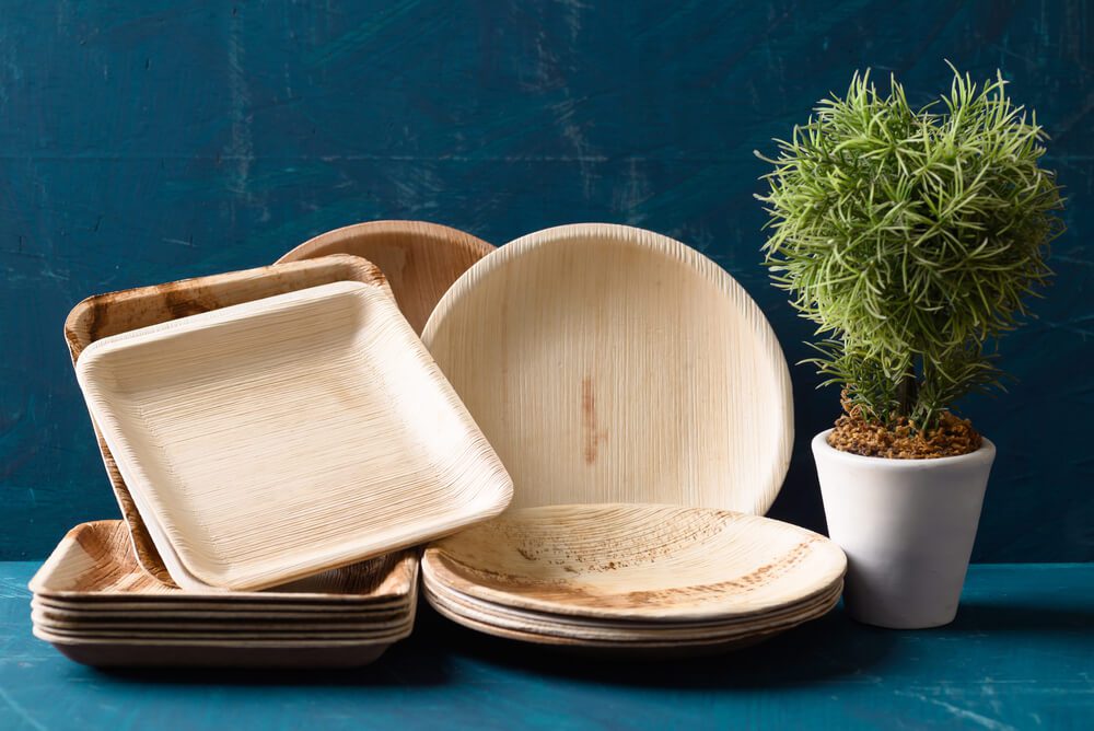 Biodegradable Palm Leaf Plate
