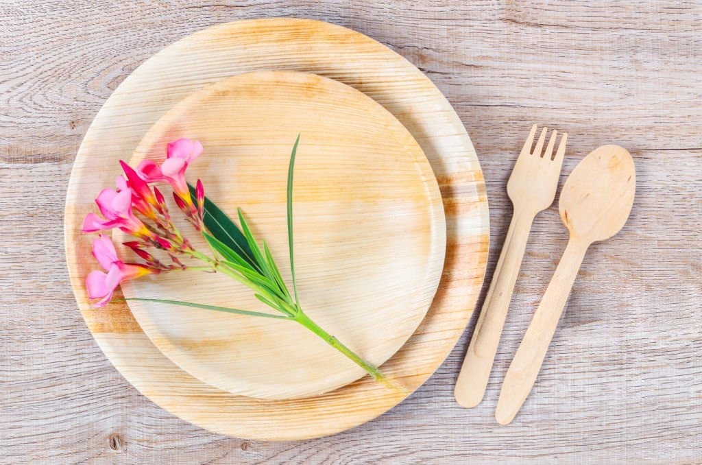 Palm Leaf Plate