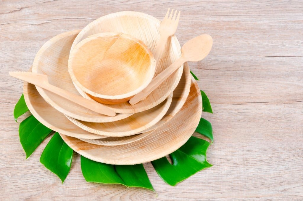 Areca Plate 1