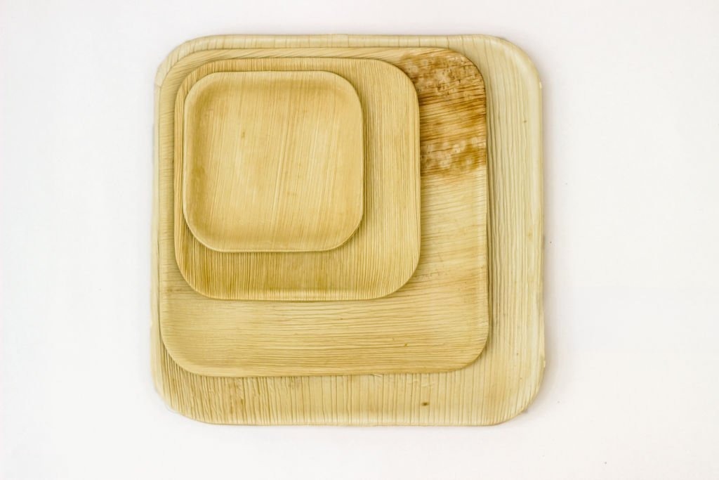 Areca Plate 3
